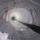 Illustration for article titled This $271 Million Telescope Is Buried Under the South Pole